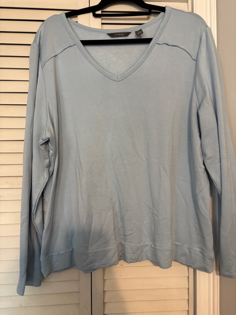 AnyBody Pale Blue Long Sleeve Boatneck Top